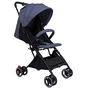 Коляска Bugs Picnic Сіра (6901711024207) - зменшене зображення 1