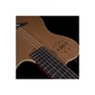Гітара класична Godin Multiac Grand Concert Encore Natural SG (235919) - уменьшенное изображение 9