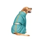 Комбінезон для тварин Pet Fashion «Cold» для такс S (бірюзовий) (4823082425372) - зменшене зображення 2