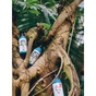 Шампунь Yope Olive Tree 300 мл (5903760202071) - зменшене зображення 2