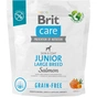 Сухий корм для собак Brit Care Dog Grain-free Junior Large Breed для великих порід з лососем 1 кг (8595602558889) - зменшене зображення 1