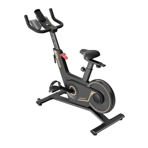 Велотренажер Kingsmith Spinning bike PB08S black (PB08S BLACK) зображення 1
