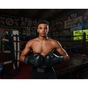 Боксерские перчатки Title Boxing Vegan Gloves Black 12 oz (VGFBG 12 oz BK/BK) - уменьшенное изображение 9