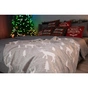 Плед Ardesto Christmas Fleece 130x160см, 100% поліестер, олені (ART0716PB) - зменшене зображення 4
