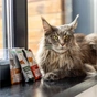 Влажный корм для кошек Nature's Protection Adult cats Urinary Chicken with White Fish & Cranberry 100 г (NPUPF63654) - уменьшенное изображение 8