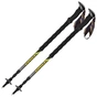 Треккинговые палки Vipole Carbontrek Long DLX (S25 01) (DAS303444) - уменьшенное изображение 1