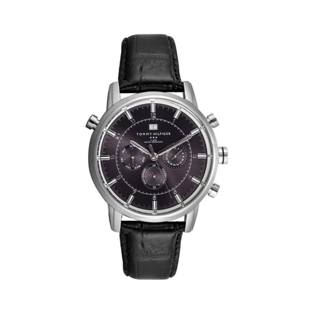 Наручний годинник Tommy Hilfiger 1790875 - зображення 1