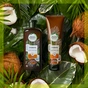 Кондиціонер для волосся Herbal Essences Кокосове молоко 275 мл (8001841436715/8006540099193) - зменшене зображення 2