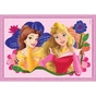 Пазл Clementoni 4 в 1 Princess, 12,16,20 и 24 элемента (21517) - уменьшенное изображение 3