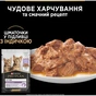 Вологий корм для кішок Purina Pro Plan Kitten Healthy Start Для кошенят З індичкою 10 х 85 г (7613034767646) - зменшене зображення 5