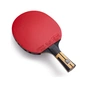 Ракетка для настільного тенісу Butterfly Timo Boll Force FL (6110300002) (931843) - зменшене зображення 2