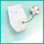 Підгузки Pampers Harmonie Mini Розмір 2 (4-8 кг) 132 шт (8006540156384) - зменшене зображення 8