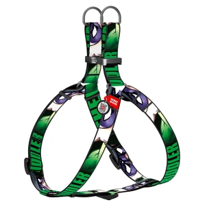 Шлея для собак WAUDOG Nylon з QR паспортом анатомічна "Загадник" M (0720-2009) зображення 1