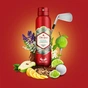 Антиперспірант Old Spice Citron 150 мл (4084500940574) - зменшене зображення 2