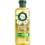 Шампунь Herbal Essences Chamomile Для блиску тьмяного волосся 350 мл (8700216631556) - зменшене зображення 1