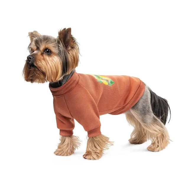 Толстовка для тварин Pet Fashion Miley XS2 (4823082434718) - изображение 1