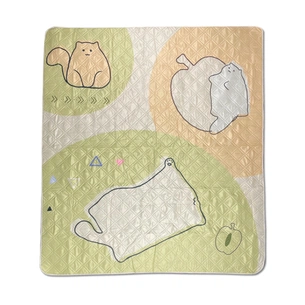 Туристичний килимок Naturehike 210х240 см CNK2350WS010 Світло-салатовий (6976507661713) зображення 1