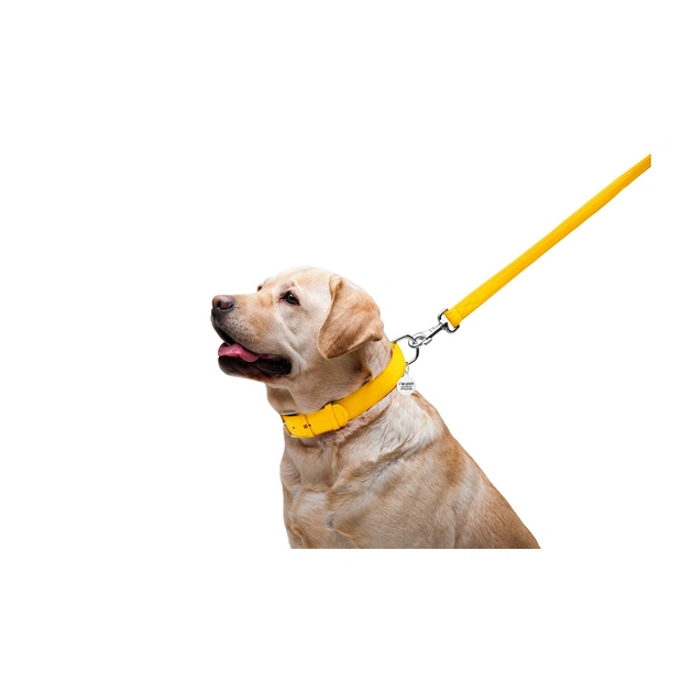 Повідець для собак WAUDOG Glamour шкіряний M-XXL жовтий (33768) - picture 5