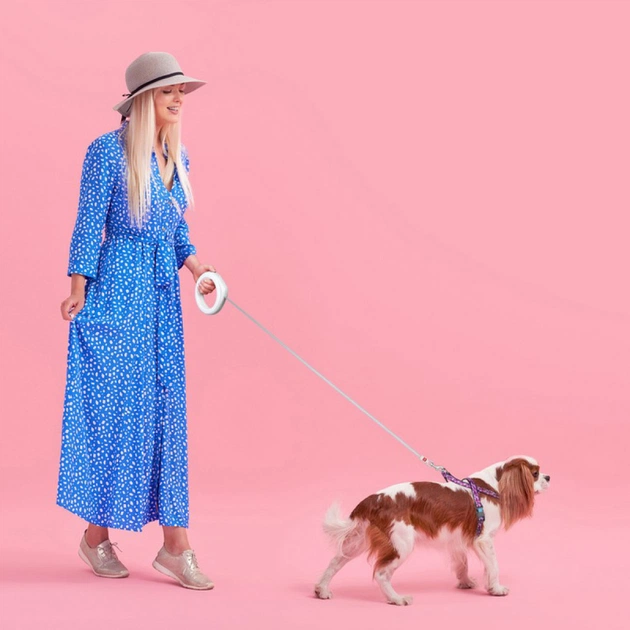 Повідець для собак WAUDOG R-leash світловідбиваюча стрічка XS-M до 40 кг 2.9 м білий (812715) - picture 8