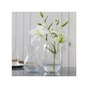 Ваза Trend Glass Lyra 20 см (35503) - зменшене зображення 3