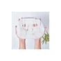 Маска для лица Dr. Plant Alpine Prinsepia Sensitivity And Redness Reducing Mask 1 шт (4582538102907) - уменьшенное изображение 2
