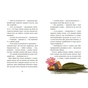 Книга Єдиноріг Курт. Дракони - це такі собі єдинороги - Шанталь Шрайбер Ранок (9786170998880) - зменшене зображення 7