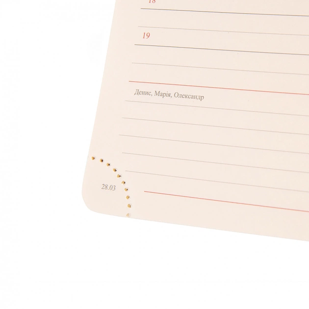 Еженедельник Leo planner датированный 2025 Identico 12x20 см синий (252512) - изображение 8