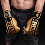 Боксерські рукавички Phantom APEX Elastic Gold 16oz (PHBG2215-16) - зменшене зображення 4