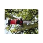 Ланцюгова пила Einhell GE-HC 18 LI T-Solo акумуляторная сучкорез (3410800) - уменьшенное изображение 9