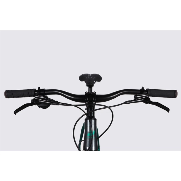 Велосипед Formula 29" ZEPHYR 1.0 HDD рама-21" AL 2026 темно-сріблястий з зеленим (OPS-FR-29-453) - изображение 6