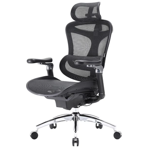 Офісне крісло Sihoo DORO C300 Pro Mesh Black (DORO-C300-PRO-M101) picture 1