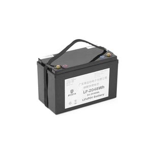 Батарея LiFePo4 Eyasta 51,2V 40Ah 2048Wh (LP-2048Wh) изображение 1