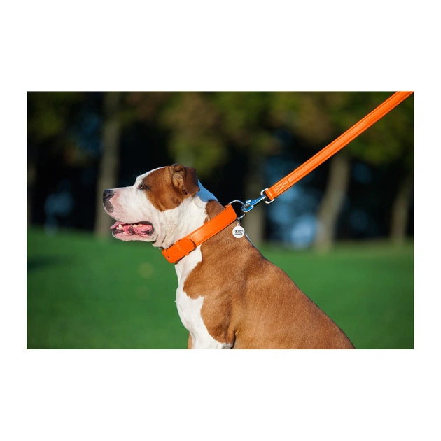 Повідець для собак WAUDOG Glamour шкіряний M-XXL помаранчевий (33764) - picture 7