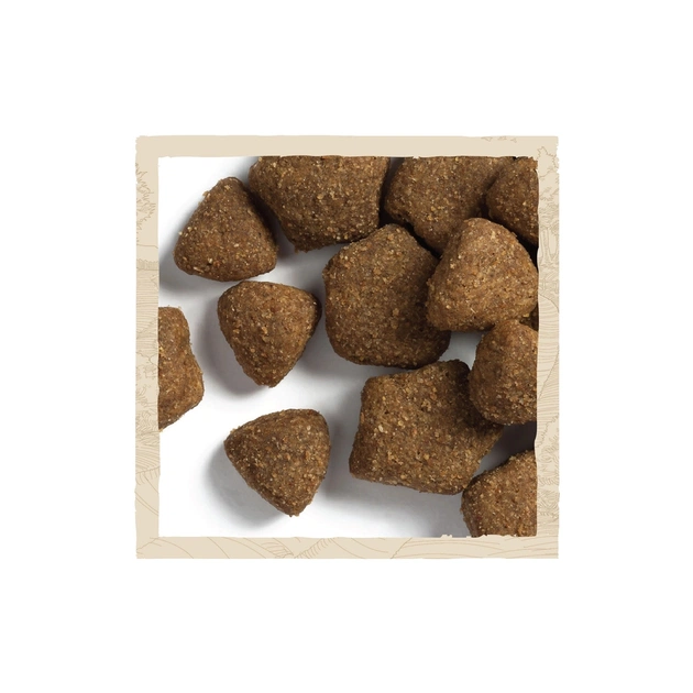 Сухий корм для собак Purina Dog Chow Adult Lamb зі смаком ягняти 2.5 кг (7613034485946) - picture 9