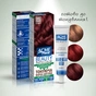 Краска для волос Acme Color Beauty Phyto 655 - Винный (4823115501905) - уменьшенное изображение 1