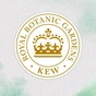 Кондиціонер для волосся Herbal Essences Олія моринги 275 мл (8001841436807) - зменшене зображення 5