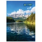 Канцелярская книга Buromax А4, 96 л., Клетка, твердая ламинированная обложка (BM.2430) - уменьшенное изображение 3