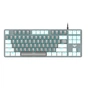 Клавіатура Aula F3287 Keycap KRGD Blue USB UA White/Grey (6948391240688) - зменшене зображення 1