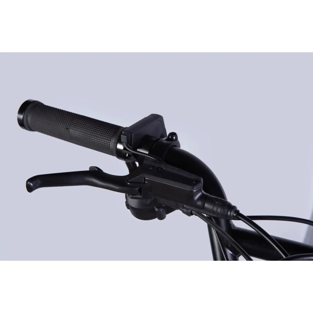 Електровелосипед Dorozhnik 20" ADAMANT HDD рама-18,5" 48B 17.5А*г 750Вт 2026 срiблястий (ELB-D-20-078) - picture 7