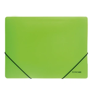 Папка на резинках Economix А4 фактура "помаранч", салатова (E31633-13) зображення 1