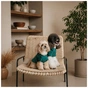 Футболка для животных Pet Fashion Seaman XХS (4823082446193) - уменьшенное изображение 5