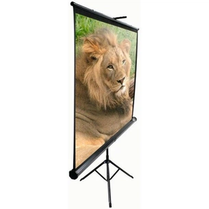 Проекційний екран Elite Screens T119UWS1 Black Case зображення 1