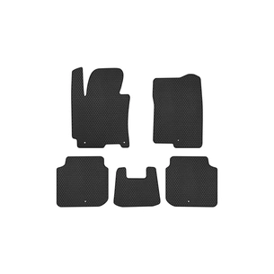 Килимок в салон EVAtech Hyundai Elantra (MD) (5 clips) 2010-2015 5 пок (HY1975C5LA5RBB) зображення 1