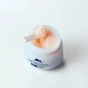 Крем для лица Dr. Plant Dendrobium Moistening Cleansing Cream 90 г (4582538101603) - уменьшенное изображение 3