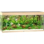 Акваріум Juwel Rio 240 LED дуб (4022573038507) - зменшене зображення 1