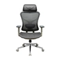 Офісне крісло Richman Ергостар Хром Synchro Сітка Сіре (R00000052542) - зменшене зображення 2
