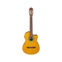 Гитара классическая Ibanez GA3ECE-OAM (236052) - уменьшенное изображение 1