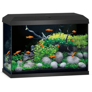Акваріум Juwel прямий Primo 70 LED чорний (4022573255706) изображение 1
