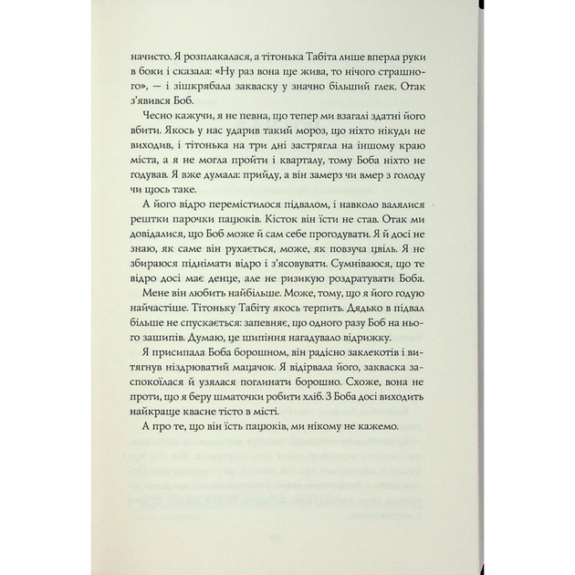 Книга Чаклунський довідник з оборонного пекарства - Т. Кінгфішер Жорж (9786178287405) - picture 11