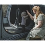 Намет Easy Camp Skarvan 6 (120498) (931573) - зменшене зображення 10